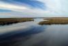 wetlands landscape