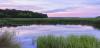 landscape of wetlands, grasses and trees